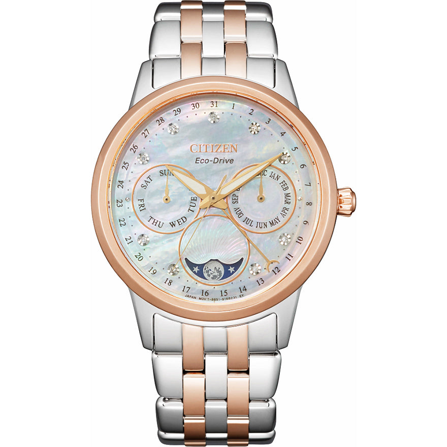 Citizen Calendrier Ladies Eco-Drive Watch | FD0006-56D – Ann