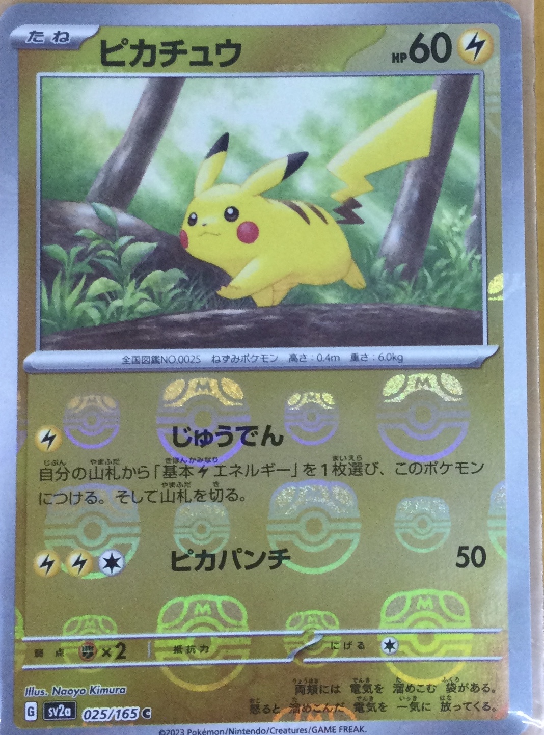 ポケモンカード ポッチャマCHR | トレカ、マンガ、フィギュア、ホビー