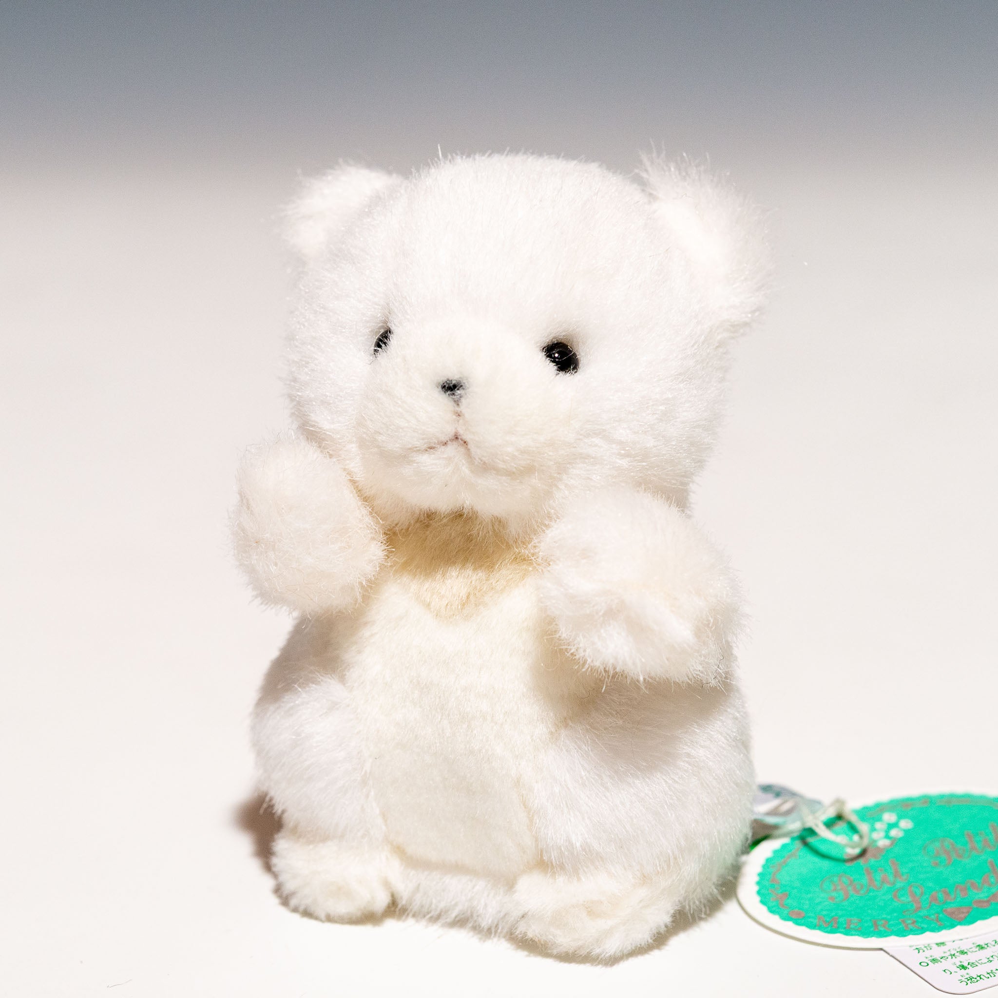 たけのこ TAKENOKO ぬいぐるみ プチプチらんど 森のなかま クマ 白