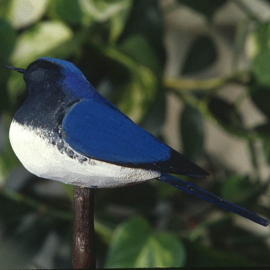 バードカービング/オオルリ【初級編バルサ材】工作 木 通販 ものづくり