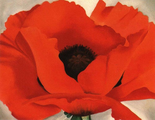 オキーフの赤い花 | AKO STORIES