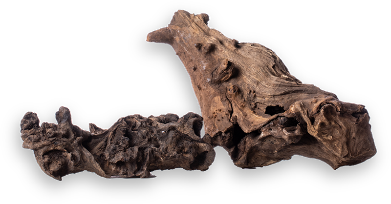 流木シリーズ - 株式会社ソネケミファ