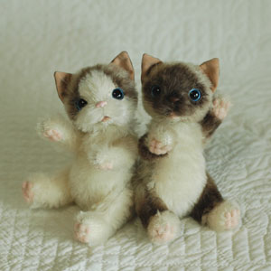 たけしま さおり pisces*b Profile テディベア・アーティストミュージアム