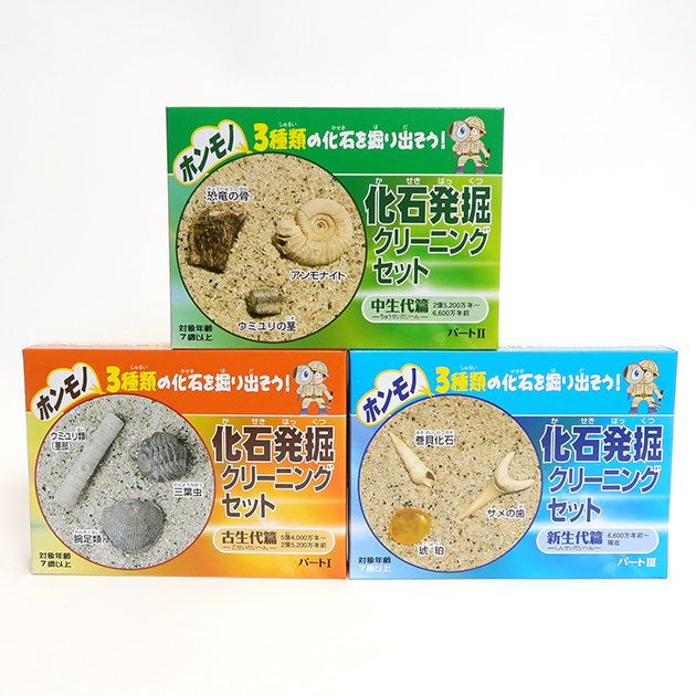 化石発掘クリーニングセット｜実験・体験シリーズ｜化石販売・鉱物販売