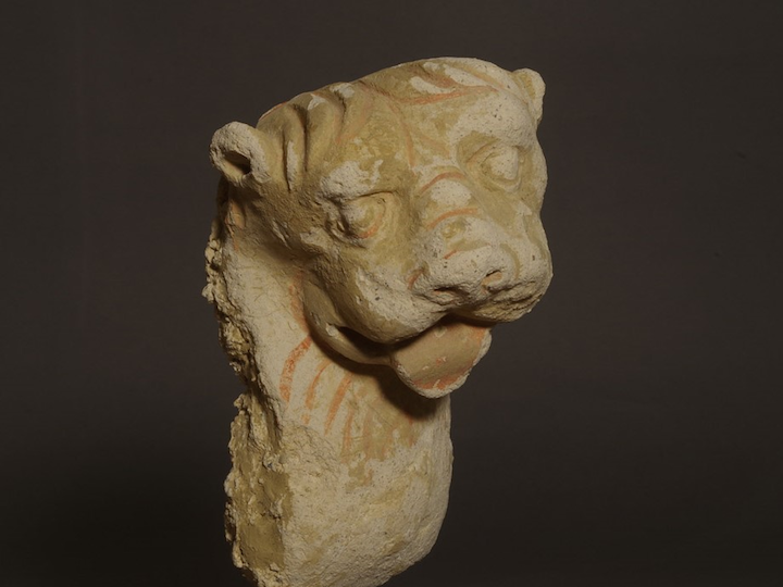 ハッダ　ストゥッコ　獅子頭部残欠 仏陀頭部 アフガニスタン ハッダ ・ 3rd.c.〜4th.c. ・ ハッダの