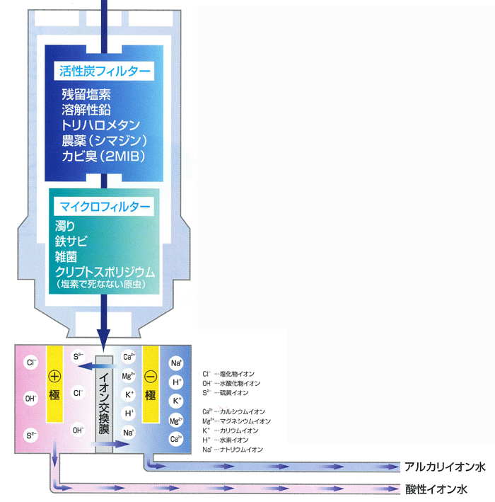 整水器 ヒューマンウォーター 軟水機 軟水器・丸山製作所製- ポンプ