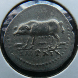 外国コイン研究会 Japan Numismatic Society