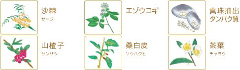 セ・サージクリーム｜加齢によるたるみ・シミ・シワに｜北海道室蘭