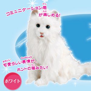 夢ねこスマイル ホワイト」を販売する通販サイト‐グレートヒーリング.com