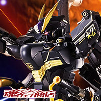 METAL BUILD クロスボーン・ガンダムX2 | 魂ウェブ
