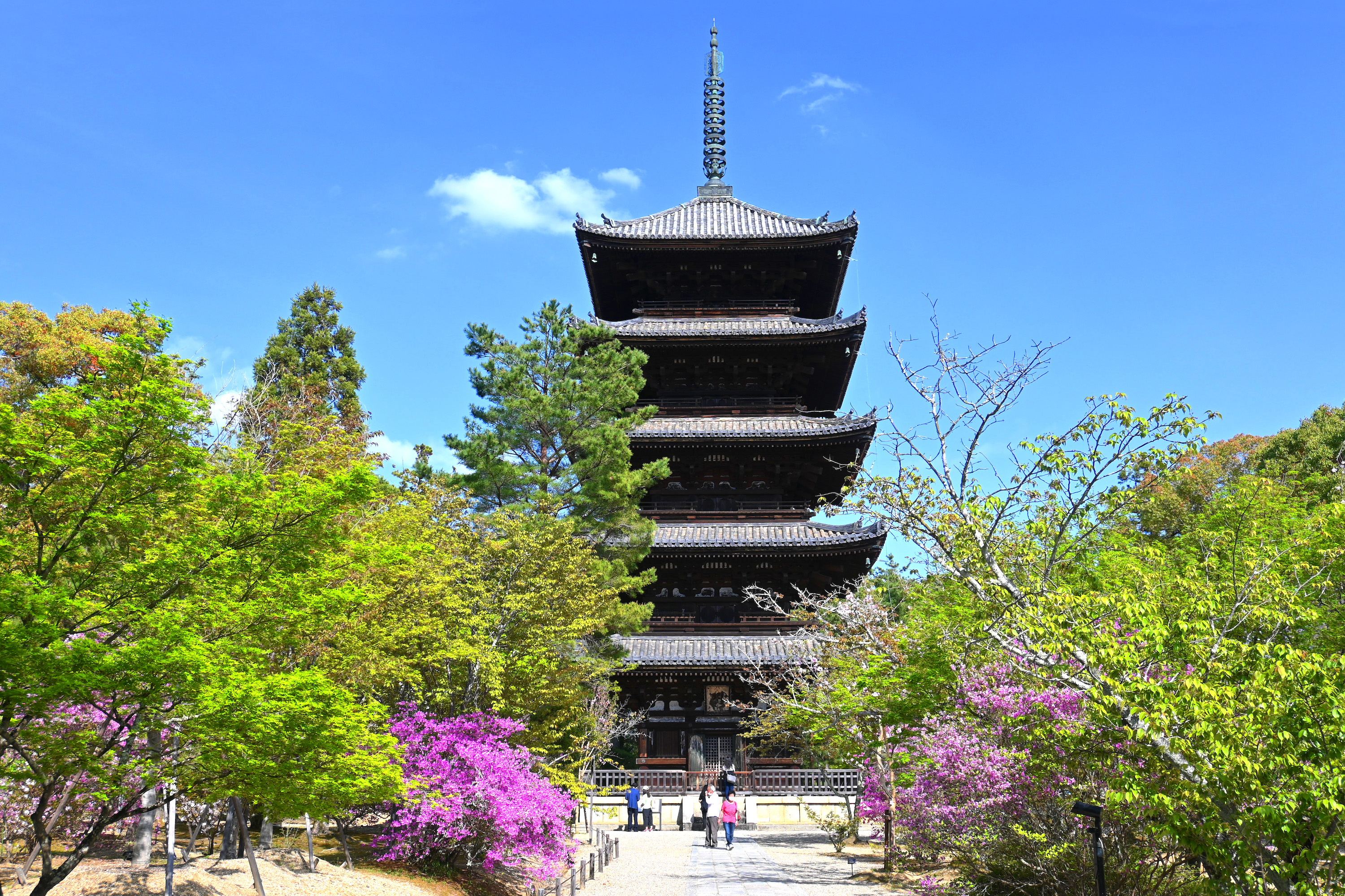 仁和寺・五重塔 | ニッポン旅マガジン