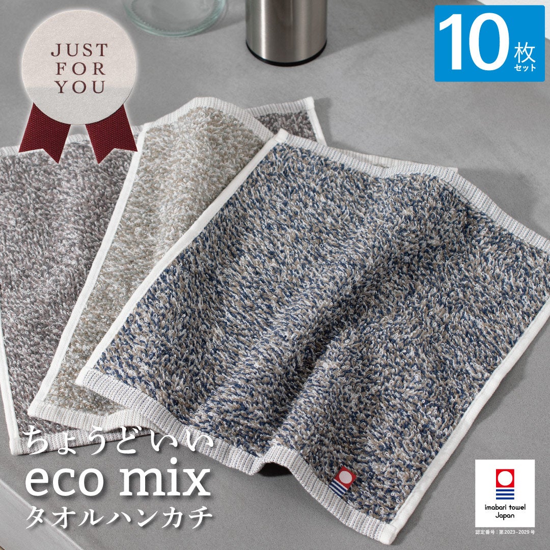 ecomixタオルハンカチ 【10枚セット】 今治タオル ハンカチ 23cm角 tps