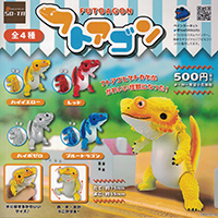 フトアゴン 【SO-TA】