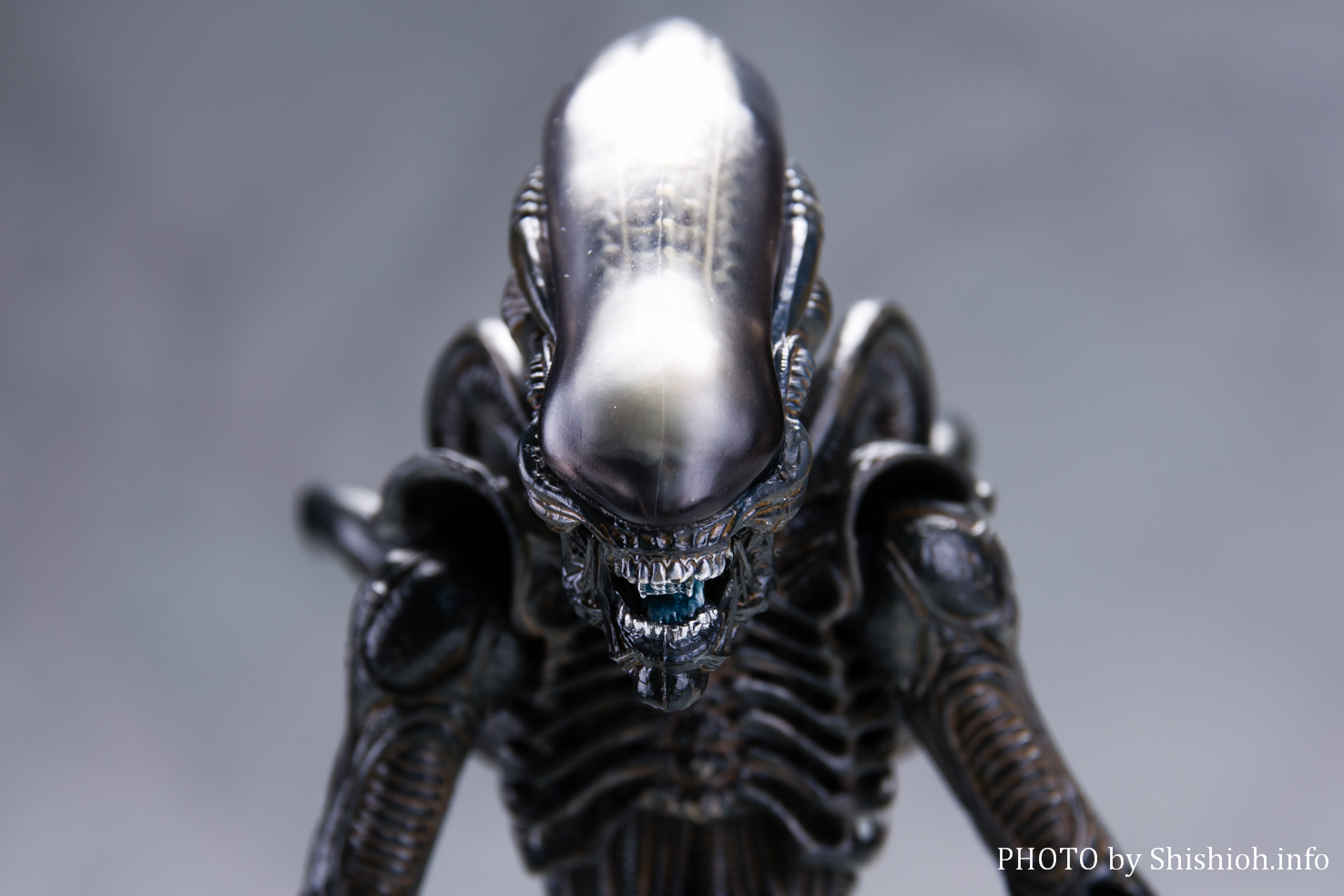 レビュー】 figma SP-108 エイリアン 竹谷隆之アレンジver.