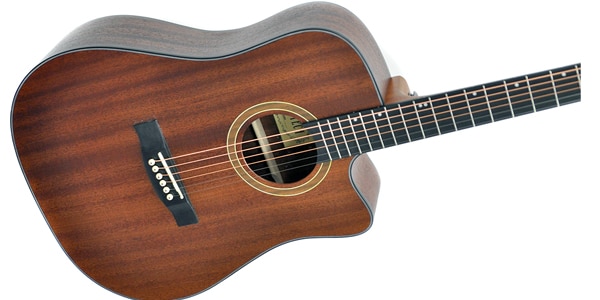 楽天市場】PLAYTECH（プレイテック） アコースティックギター AD28MC