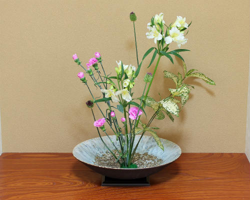 楽天市場】【ポイント3倍】信楽焼 水盤 窯変 流し ソリ 丸 13号 生け花