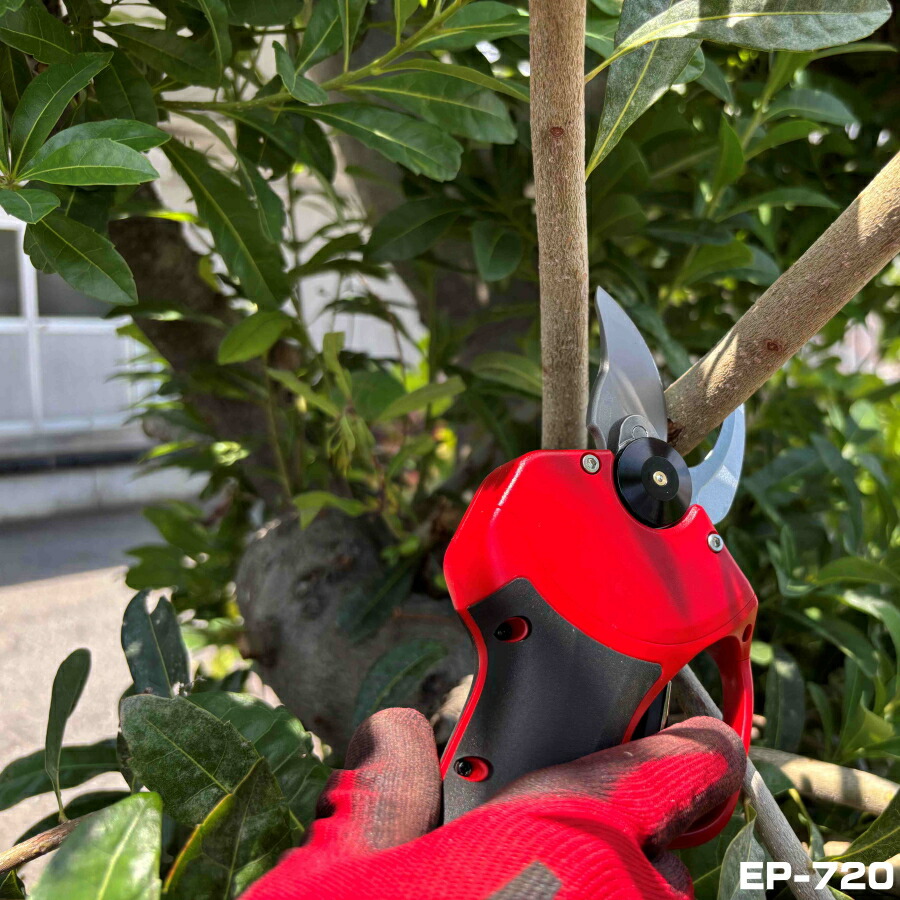 楽天市場】【1台限り数量限定特価・営業日即日出荷】 ARS アルス