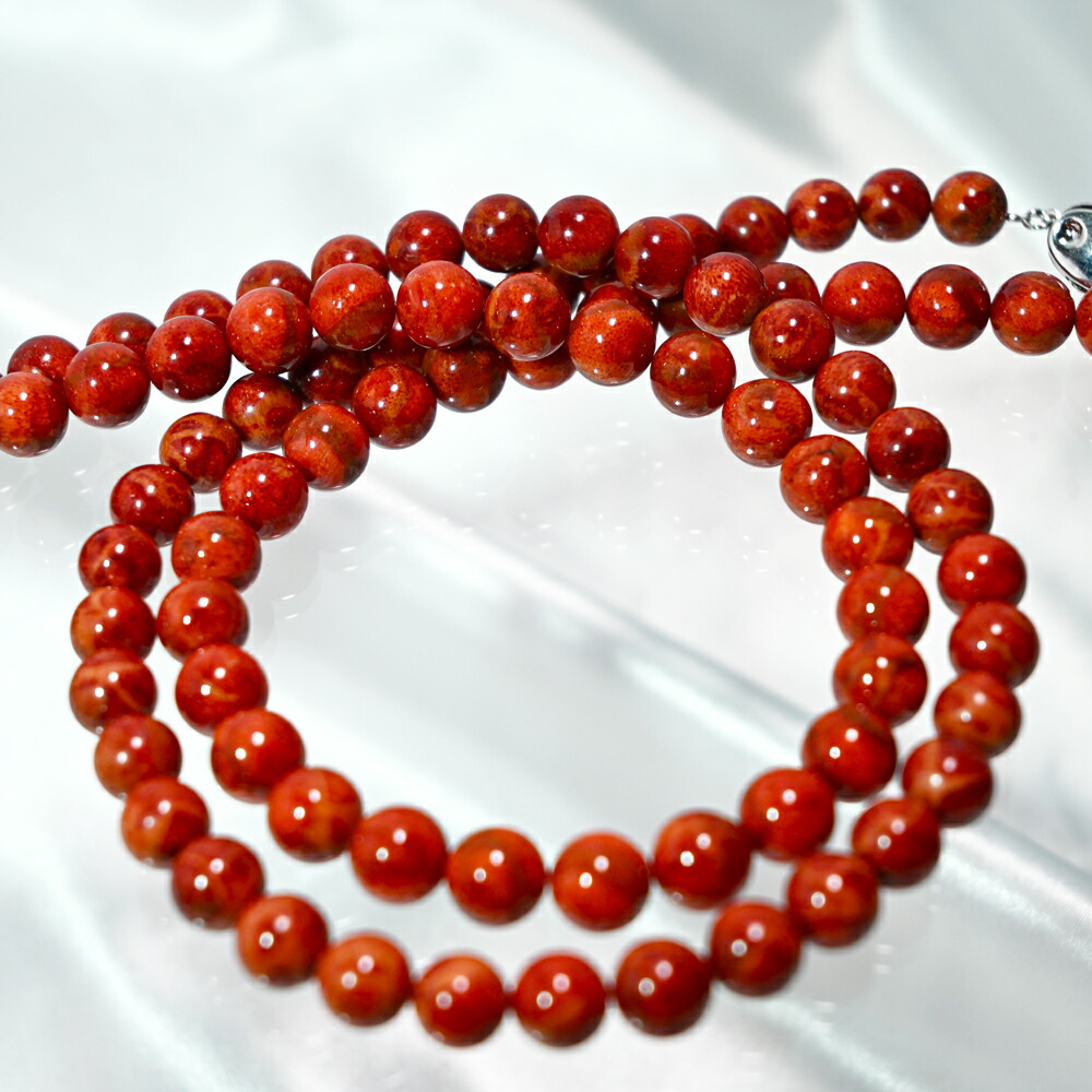 楽天市場】大丸松坂屋百貨店法人外商事業部おすすめ！イソバナ珊瑚