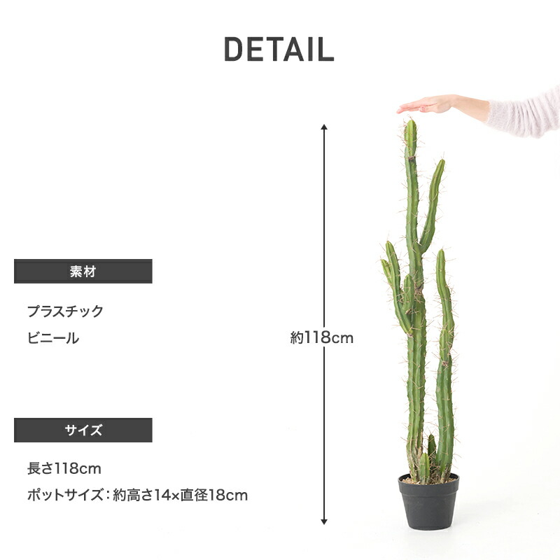 楽天市場】[全品10％OFF×25日限定クーポン+P10倍 25日20時〜4H