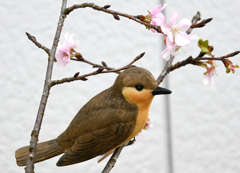 楽天市場】五羽の小鳥たちクリップバード 小鳥置物 木枝に小鳥が