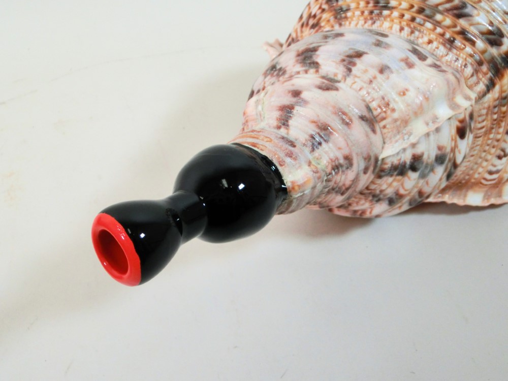 楽天市場】【法螺貝】ほら貝 特大 41センチ : 三島屋楽器