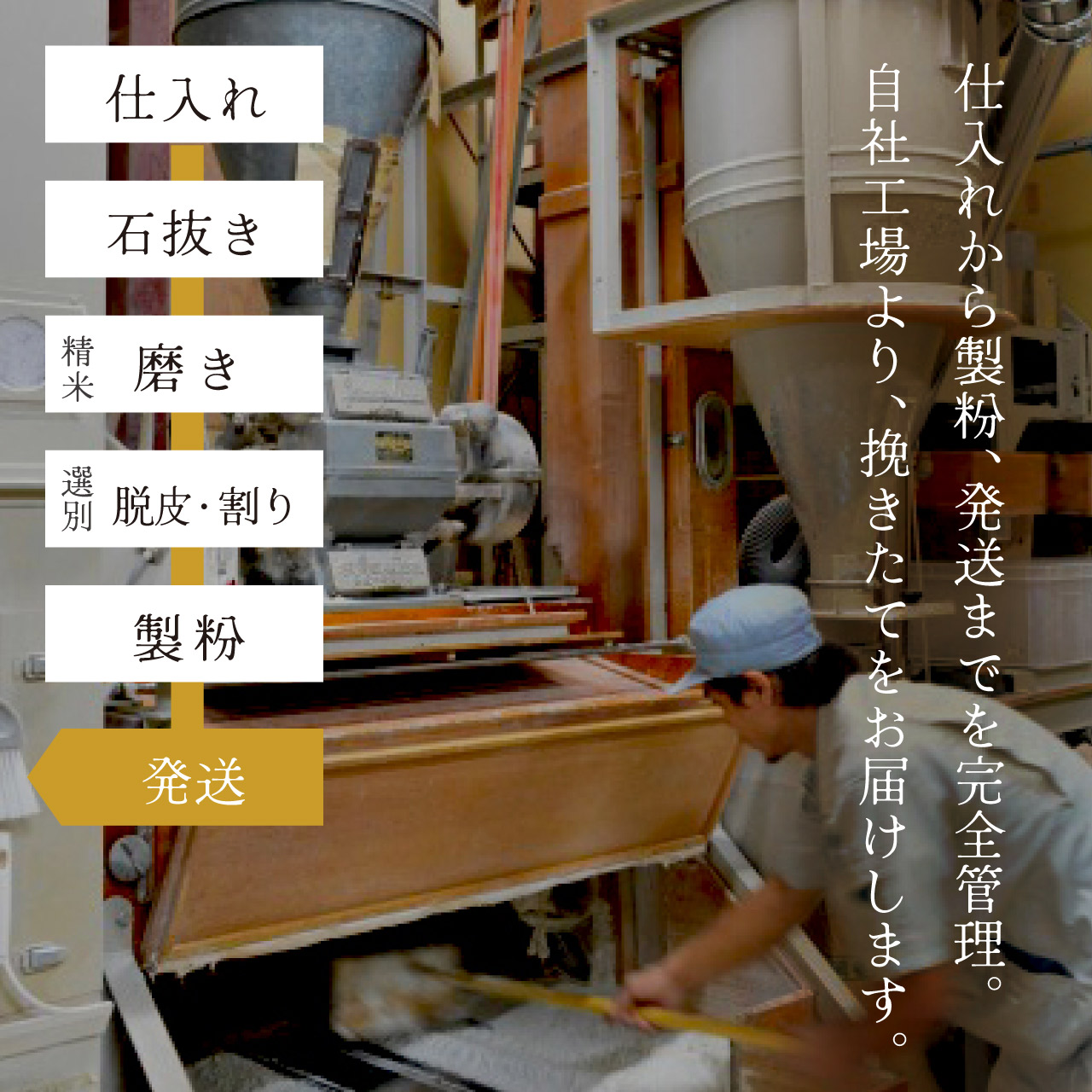 楽天市場】【 送料無料 】 本格そば打ち8点セット 蕎麦打ちセット 蕎麦