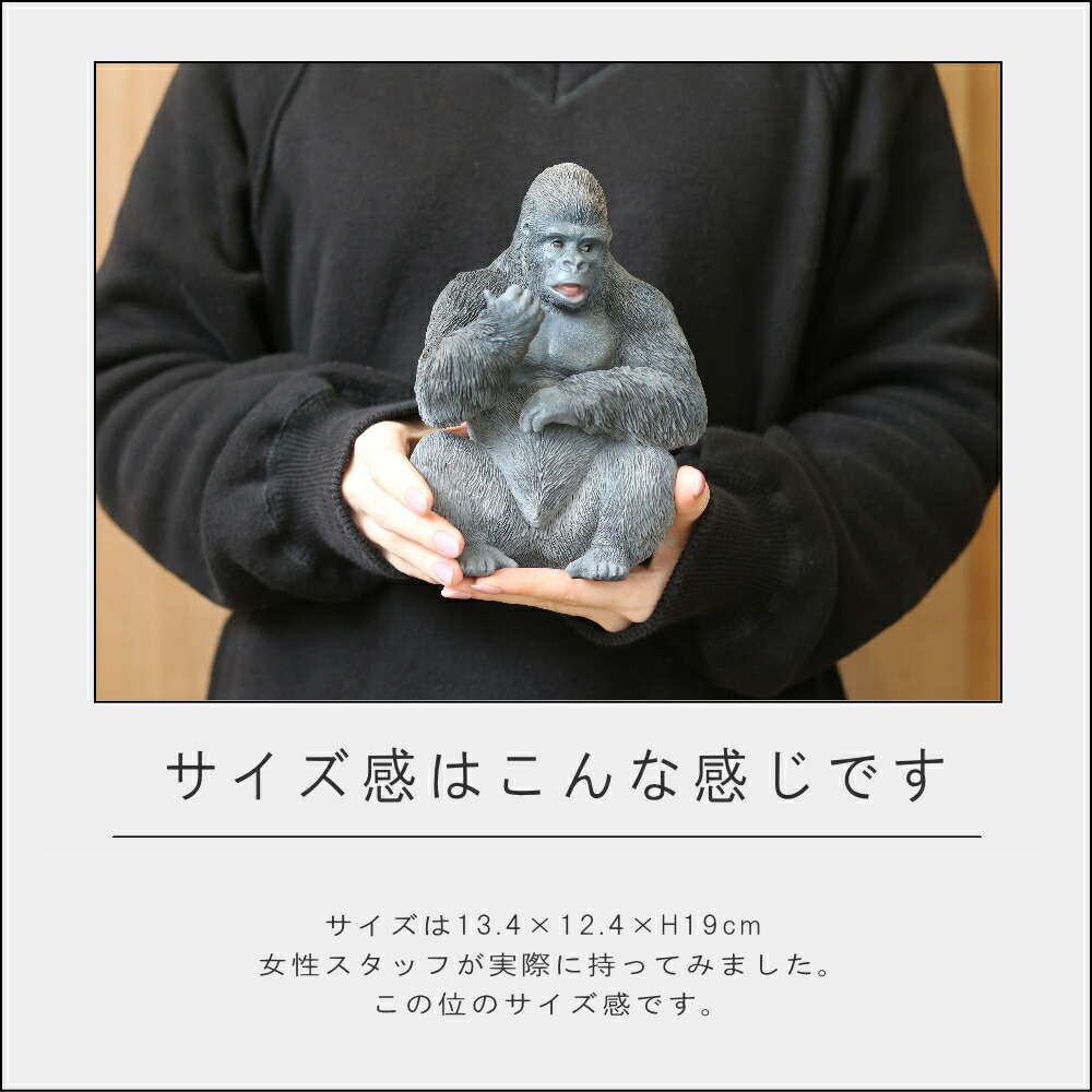 楽天市場】【特典付】【ポイント 10倍】( ゴリラぐー サムズアップ