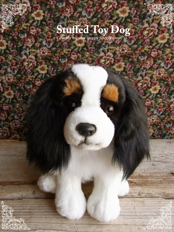 楽天市場】簡易ラッピングでお届け【Faithful Friends キャバリア