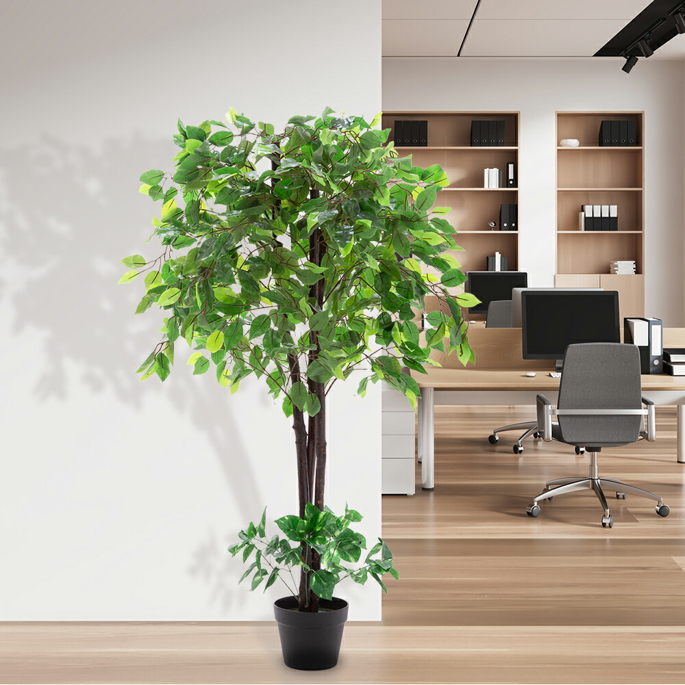 楽天市場】人工観葉植物 光触媒 ベンジャミン 2本セット フェイク