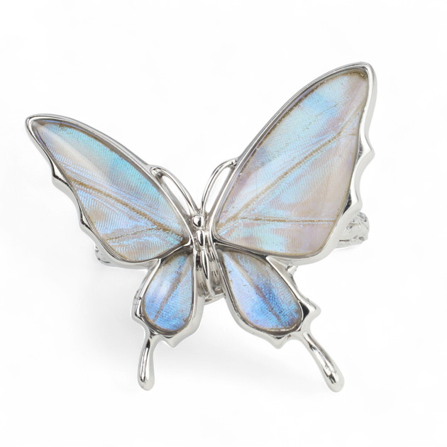 楽天市場】[スルコウスキーモルフォ] 本物の蝶の翅 舞い飛ぶ蝶 リング