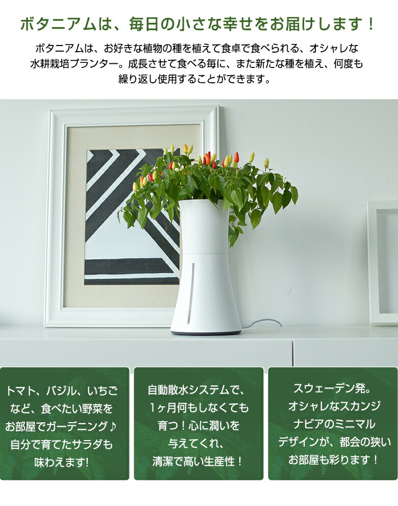 楽天市場】【在庫限りで販売終了】【ポイント20倍☆】【BOTANIUM