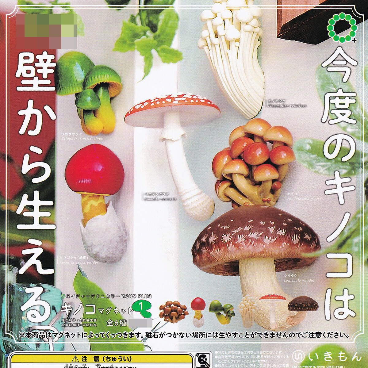 楽天市場】ネイチャーテクニカラー MONO PLUS キノコマグネット1 いき