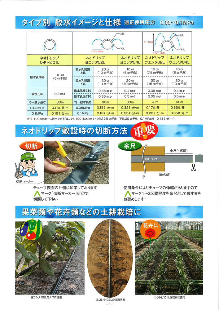 楽天市場】【1/25〜2/25開催！当選確率1/2☆最大100%P還元！要