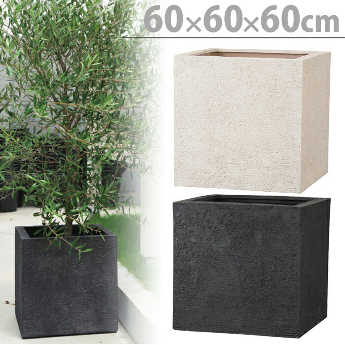 楽天市場】プランター 植木鉢 底穴あり リガンデ キューブ アイボリー