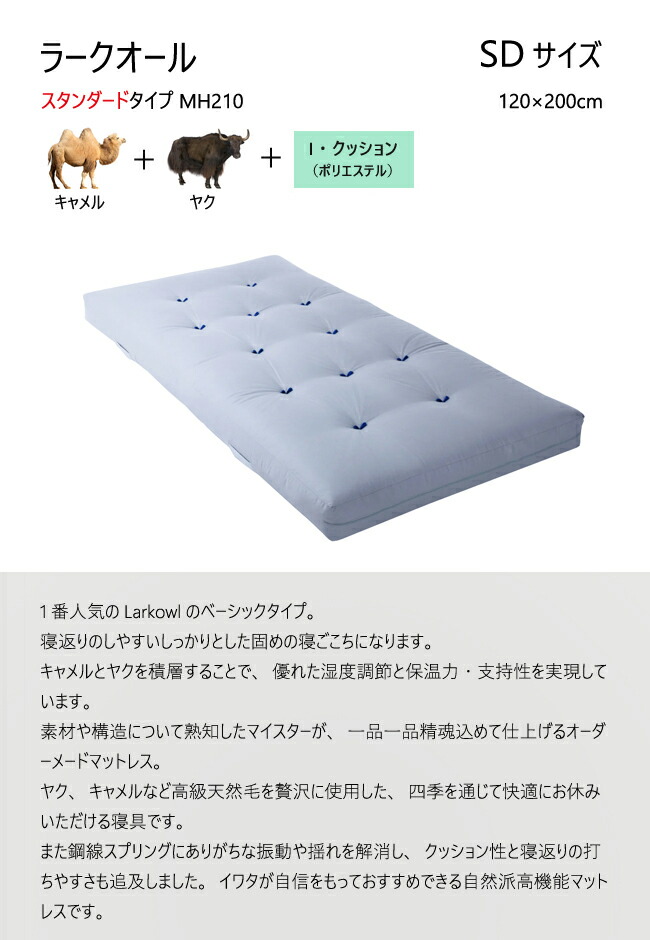 楽天市場】イワタ ラークオール SD レギュラー キャメル ヤク