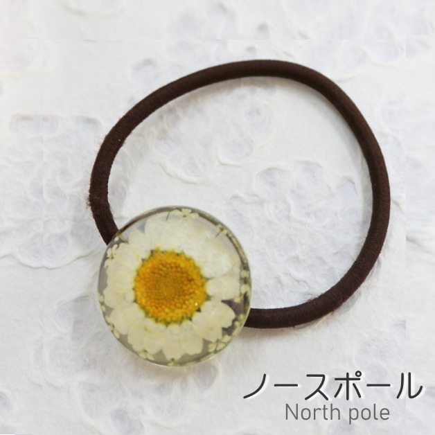 楽天市場】押し花ヘアゴム 押し花 フラワー 花 髪留め ヘア