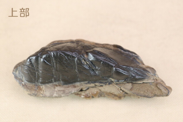 長者抹香石 静山 水石 鑑賞石 【公式通販】