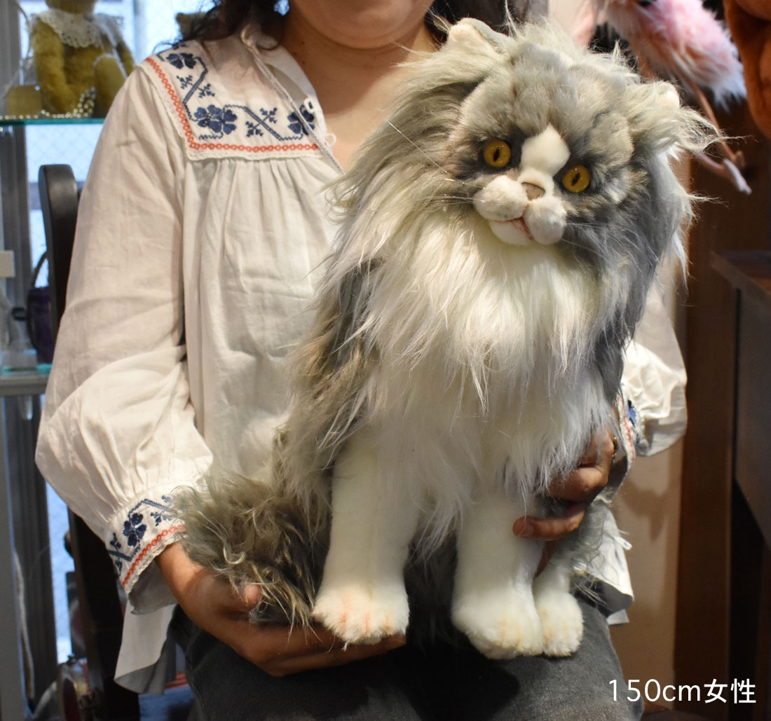 楽天市場】HANSA ペルシャネコ38 H38(cm) 5012 ペルシャ猫 ぬいぐるみ