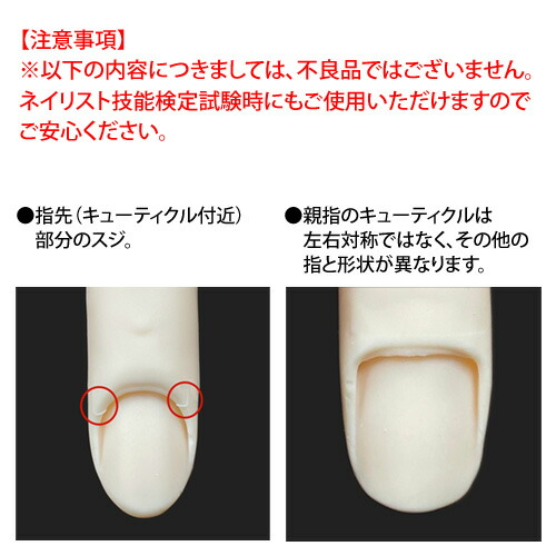 楽天市場】STモデルハンドセット【右手＆左手】キューティクルの下部に