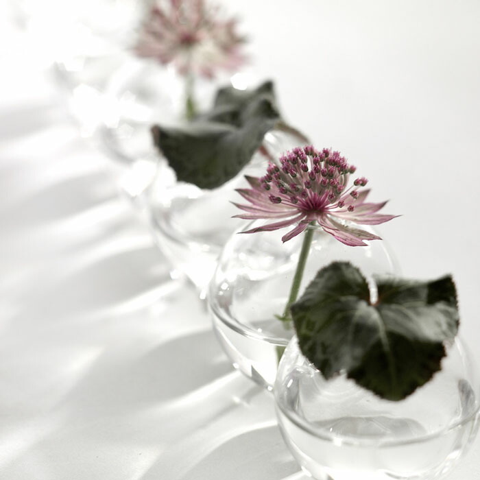 楽天市場】SERAX セラックス フラワーベース 花瓶 花器 6連 SIXBALL