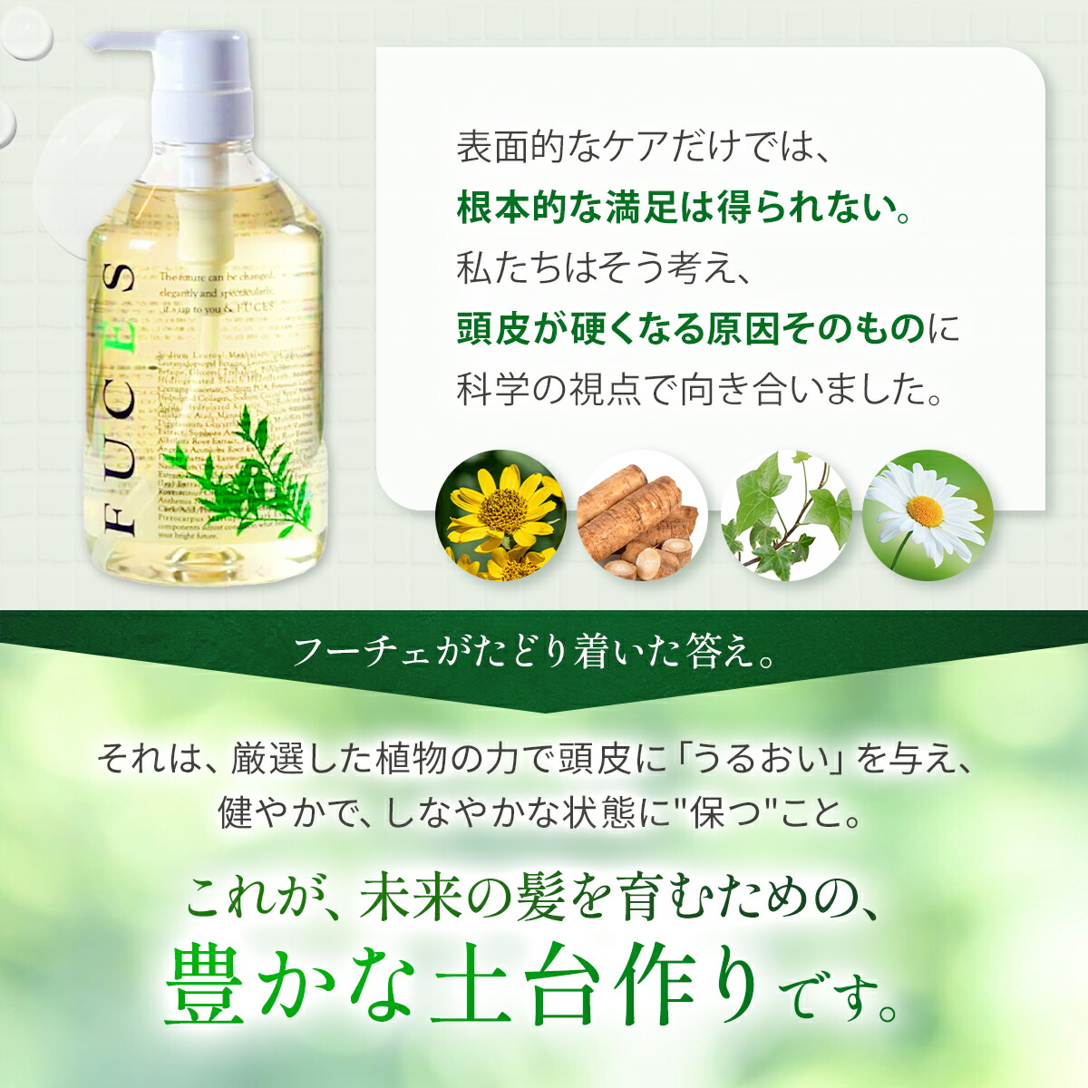 楽天市場】【期間限定!! すぐ使えるクーポン配布中】FUCES フーチェ AR