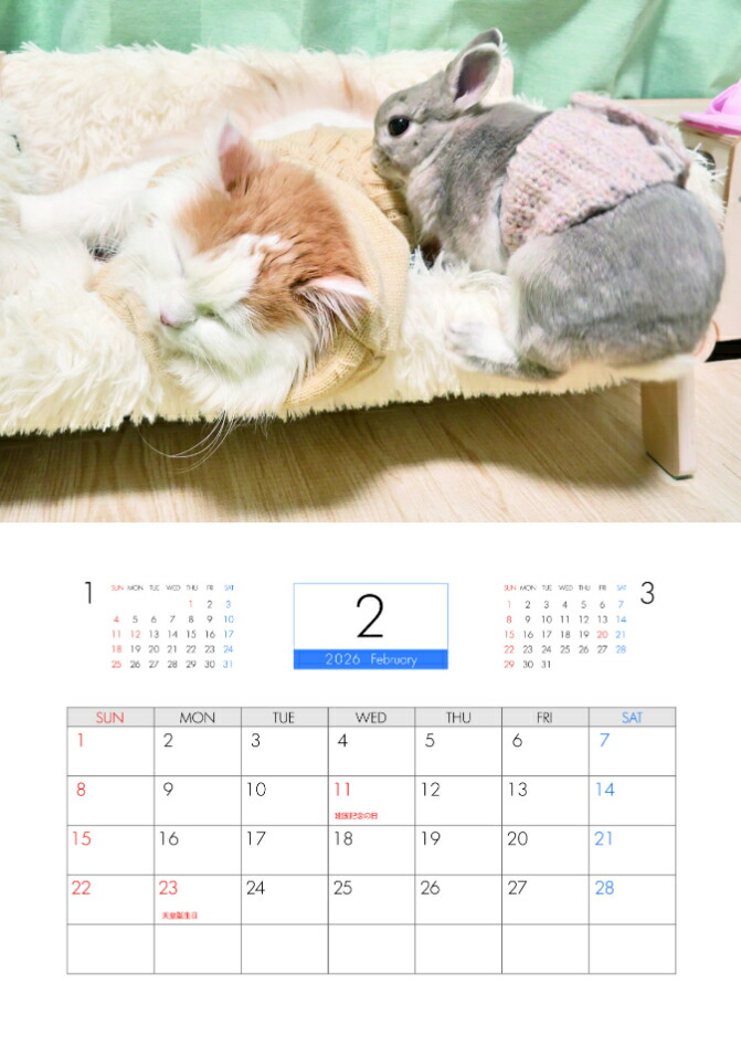 楽天市場】【予約販売】 うさぎのコガラナ天パのうさハムch 2026年