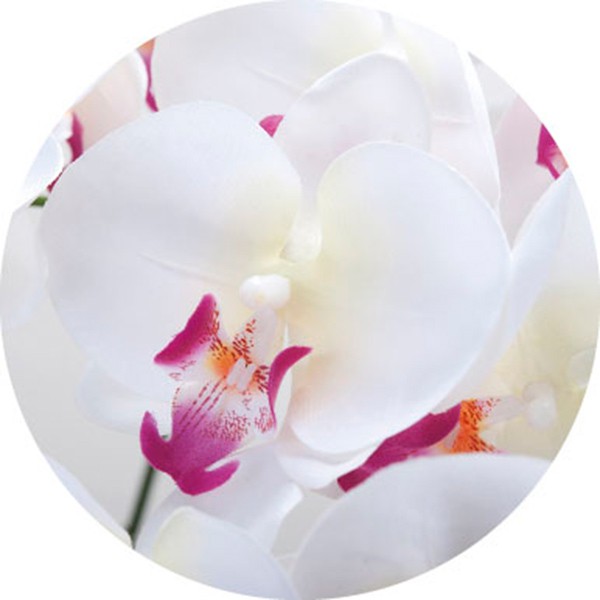 楽天市場】光触媒 花 フェイクフラワー フェイクグリーン 胡蝶蘭