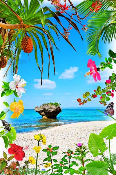 楽天市場】風景写真ポスター 沖縄 黒島の海 きのこ岩と花々 ウォール