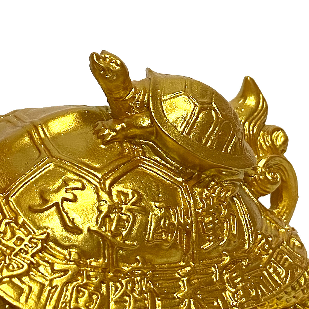 楽天市場】【在庫セール 数量限定】龍亀 （大サイズ） ろんぐい