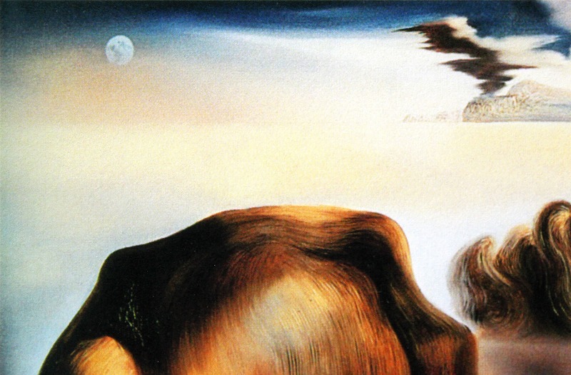 楽天市場】【マラソン限定クーポン】【レビュー特典付き】サルバドール