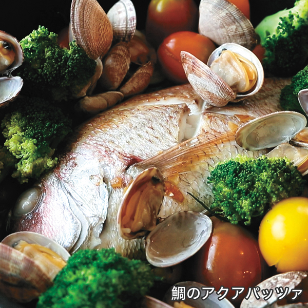 楽天市場】＼ポイント10倍／ フライパン オールライト 24cm 次世代の