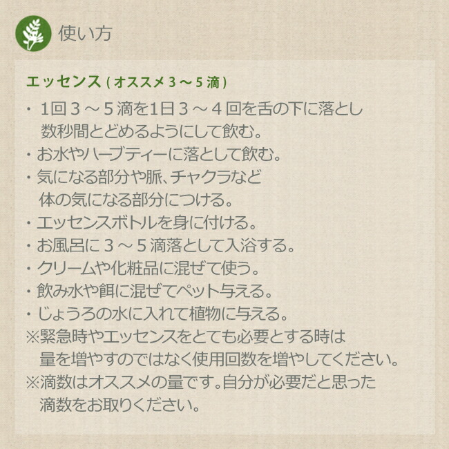 楽天市場】ビューティー＆ビースト Beauty and the Beast パワーオブ