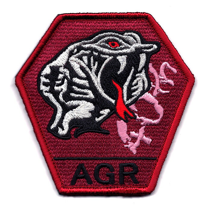 楽天市場】自衛隊グッズ ワッペン 航空自衛隊 飛行教導群 アグレッサー