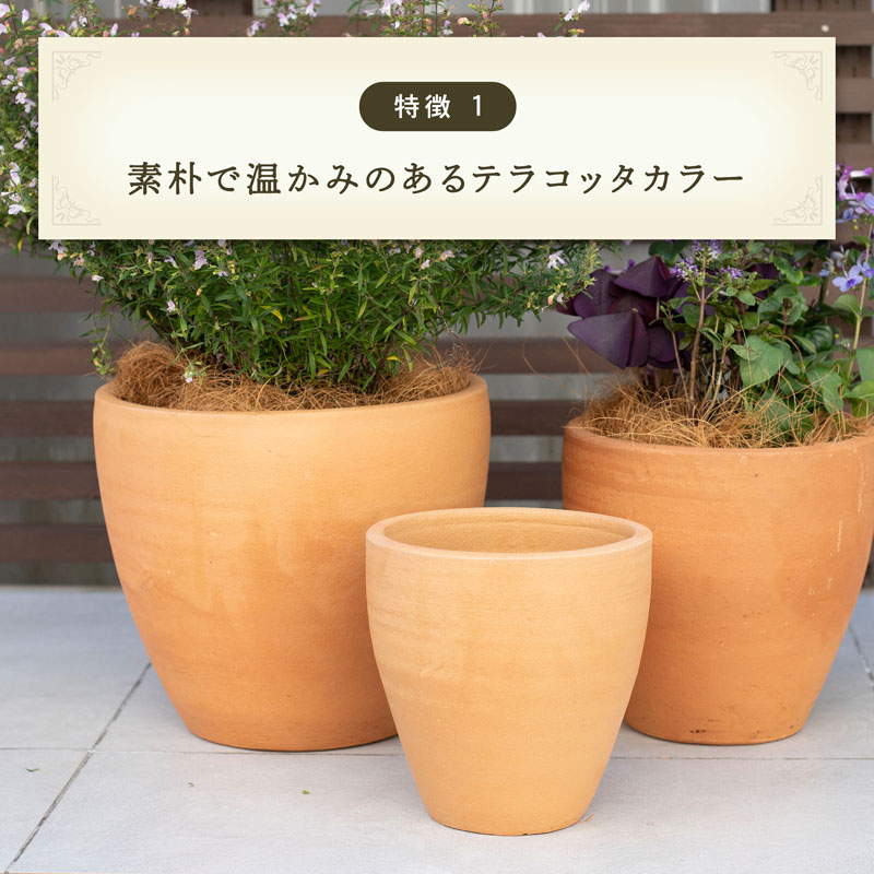 楽天市場】テラコッタ E30 3点セット（6/8/10号鉢）【植木鉢